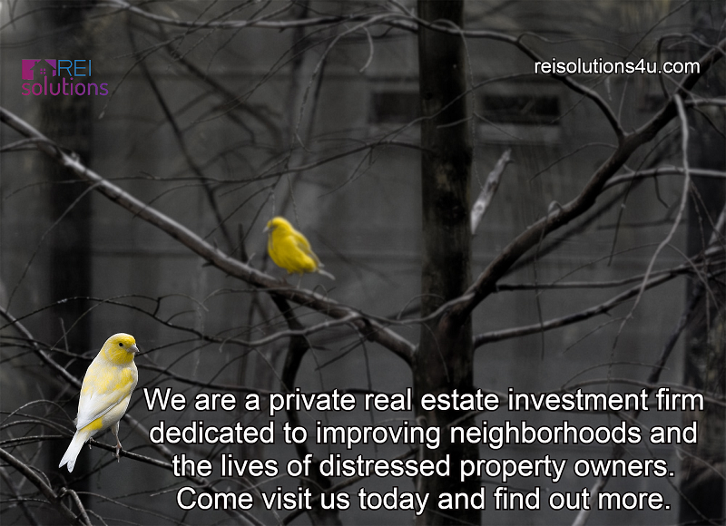 reisolutions4u's tweet image. We help property owners (SELLERS) get the best possible CASH OFFER. Come visit us today and find out more.
reisolutions4u.com