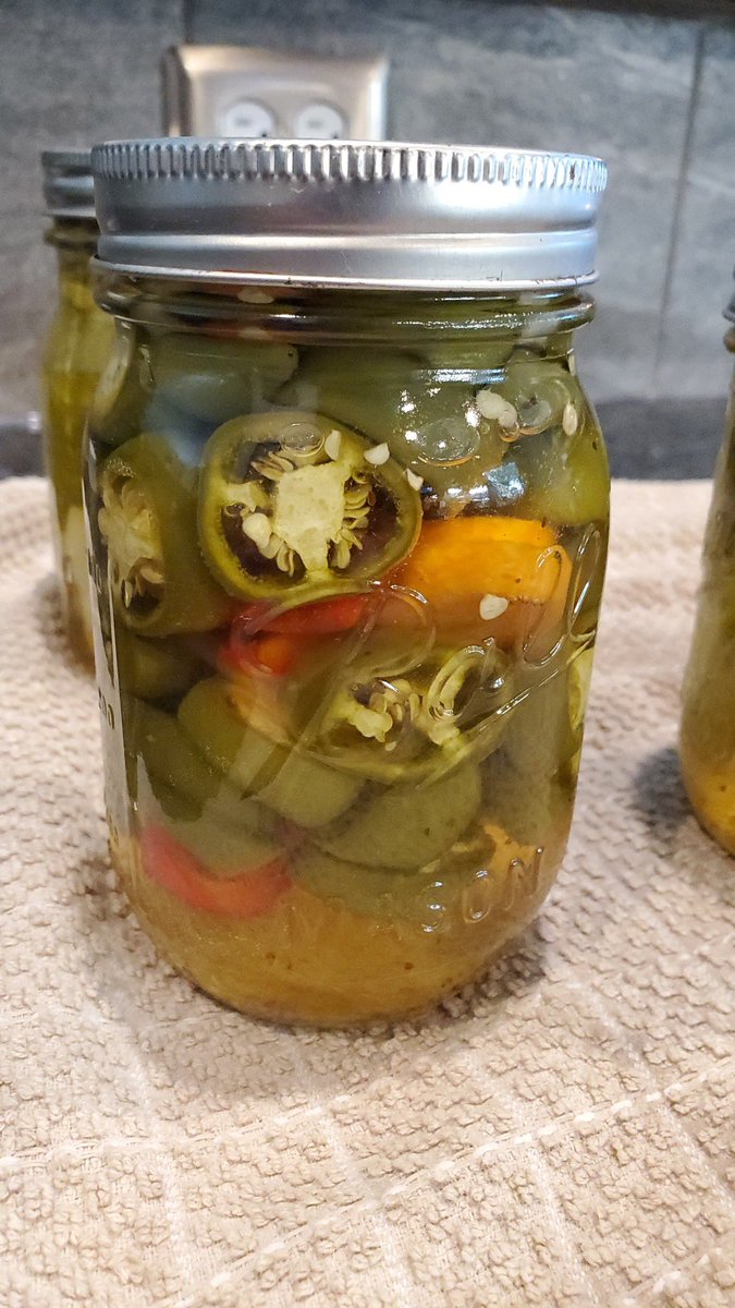 collegechefs's tweet photo. Chef William kept himself productive this summer! Check out his first garden at his new house - Sweet corn, heirloom tomatoes, pickling cucumbers, peppers, onions, potatoes, leeks, spaghetti squash, butternut sqaush and zucchini!
#CollegeChefs #CoolFood
.
.
.
#garden #gardening https://t.co/slSg3a9o2u