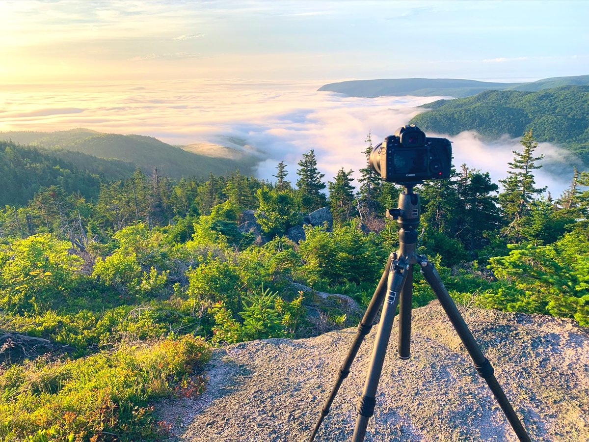 AdamHillPhoto's tweet photo. Ah, I’d love to be back on #Franey Trail for another #sunrise. #visitcapebreton #visitnovascotia https://t.co/JbYiq1LkDu