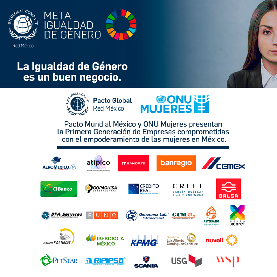 Ripipsa's tweet photo. En Ripipsa somos parte del Pacto Mundial México y al ser parte de algo tan importante como La iniciativa «Target Gender Equality» "que impulsa el éxito empresarial y la sostenibilidad de las empresas"
👷‍♀️👩‍🏫👩‍🏭👩‍💻

Entérate:
https://t.co/BWpRhtvyBU

#Ripipsa #PactoMundial #equality https://t.co/s5UhjZC33Q