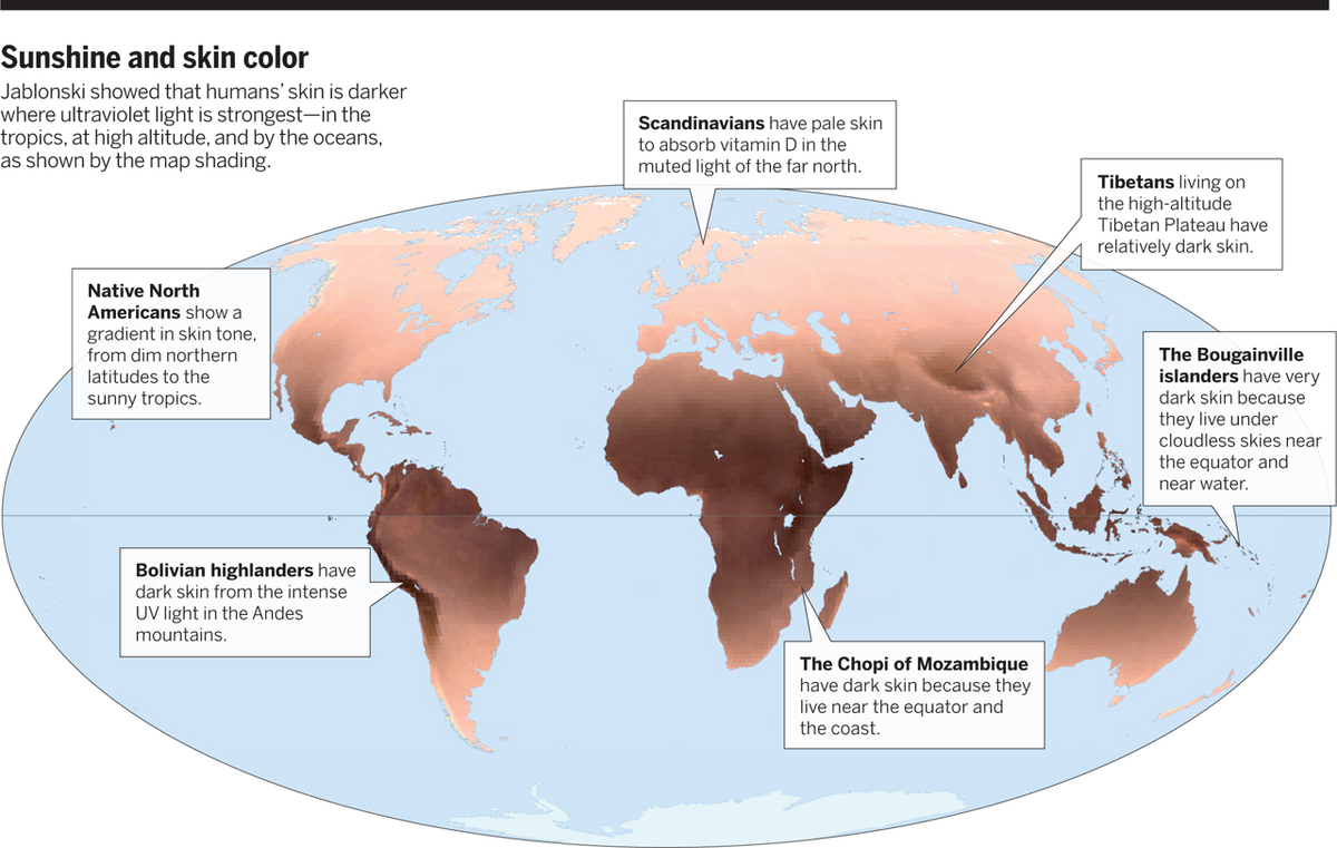 First off, where data was lacking (more often than not) I defaulted to family place of birth and generally referenced the sunshine skin colour chart.Early versions of sunscreen *did* exist but I assumed most people didn't wear any. I erred darker. 2/ https://science.sciencemag.org/content/346/6212/934/F3