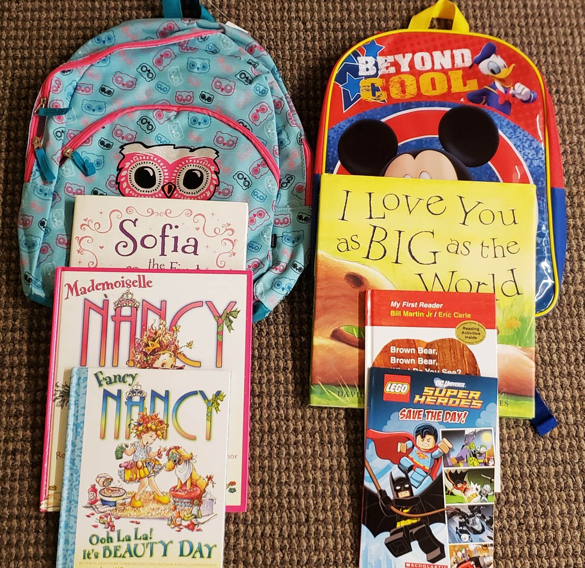 CS_Exchange's tweet photo. @FreeBooksOttawa (Twice Upon A Time) in Ottawa has generously donated 500 children's books for us to include in the backpacks for our kindergarten clients! #SISS 

Such a special addition to be able to include to brighten a child's day and get them excited to learn! Thank you! https://t.co/a6uAstsJpP