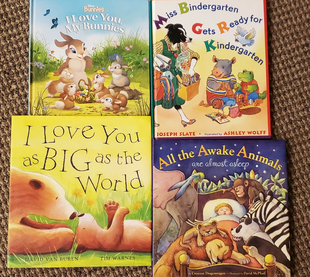 CS_Exchange's tweet photo. @FreeBooksOttawa (Twice Upon A Time) in Ottawa has generously donated 500 children's books for us to include in the backpacks for our kindergarten clients! #SISS 

Such a special addition to be able to include to brighten a child's day and get them excited to learn! Thank you! https://t.co/a6uAstsJpP
