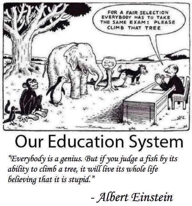 PoddarTrishna's tweet photo. Hope this policy will empower an elephant to show its strength nd to continue it's uplifting skill, a monkey to take pride on its climbing skills, a snake to enjoy it's crawling skills, and a penguin to pursue it's swimming nd surviving skill❤️
#NewEducationPolicy https://t.co/lRWu32m4Fo