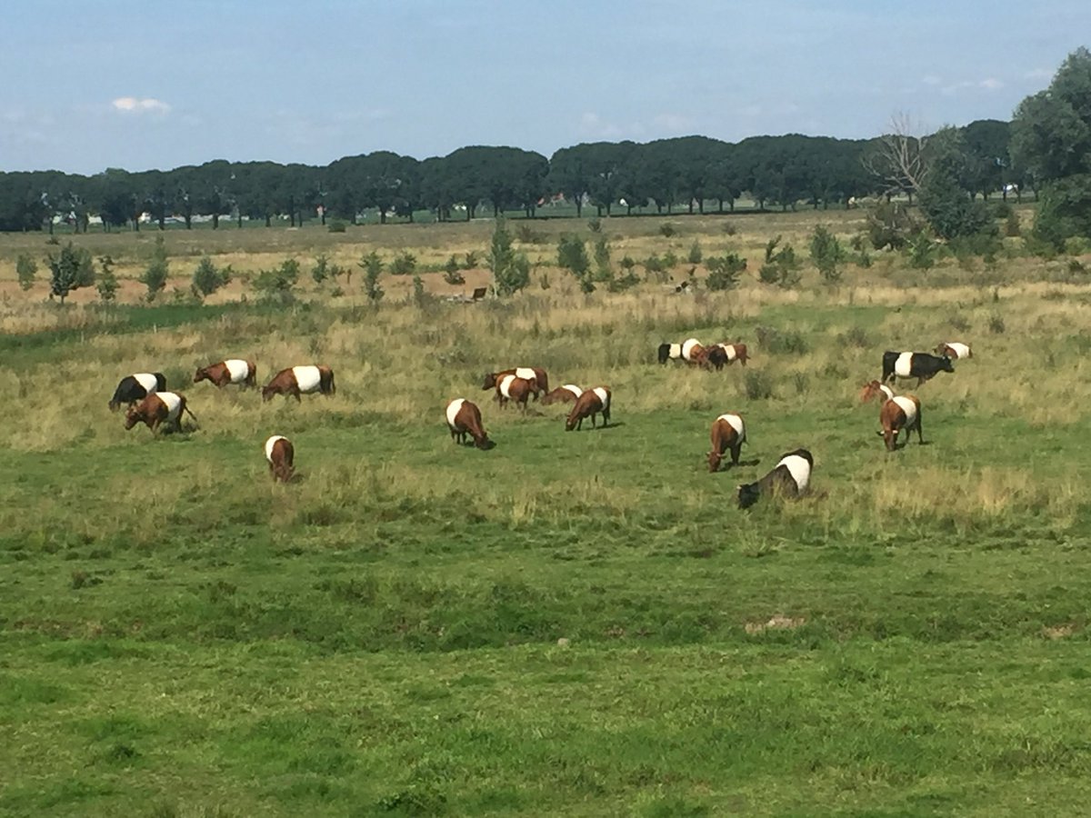 Dag 5/7 #mylifeinpictures. Genomineerd door @papohnepudding. Geen woorden, geen mensen.