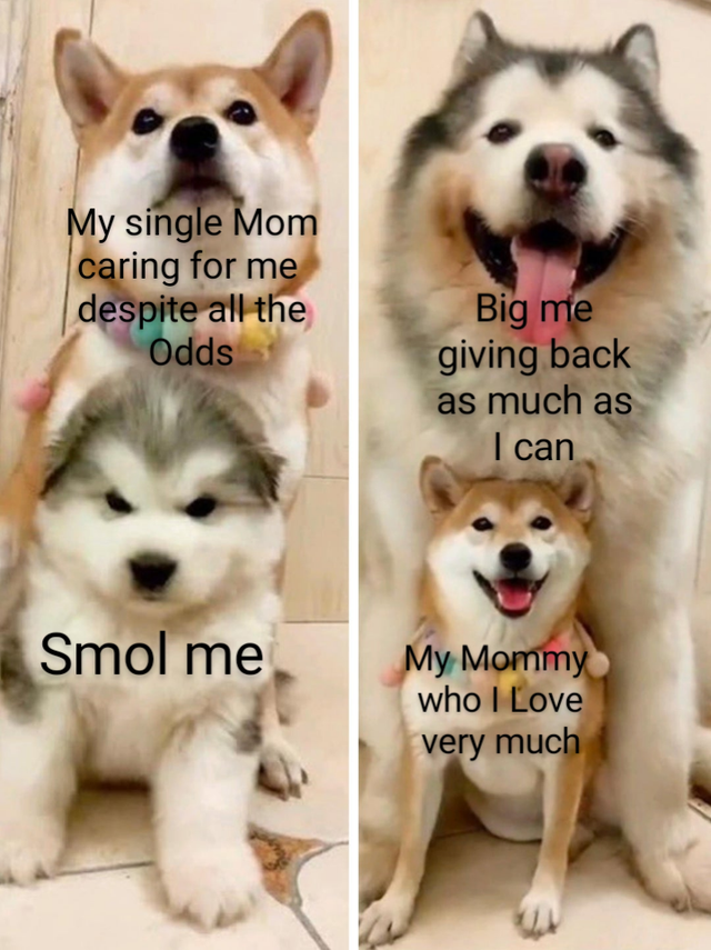 WholesomeMeme's tweet photo. https://t.co/Y8vjsHcZFj