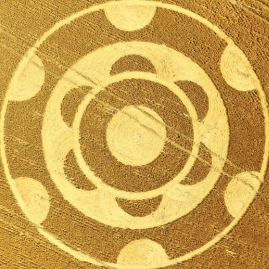 ÁguilaCóndor (@leonardomirel) on Twitter photo 