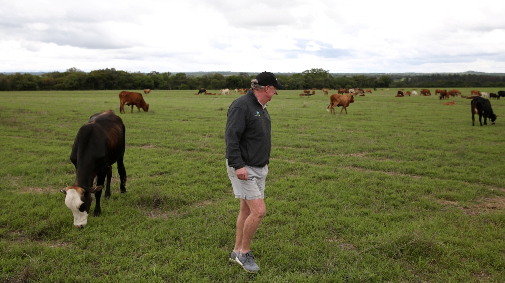 AJEnglish's tweet photo. Zimbabwe to pay $3.5bn in compensation to white farmers whose land was expropriated by the gov't to resettle Black families https://t.co/n7Y6DpT1Rf https://t.co/nTcx6Kx1sS