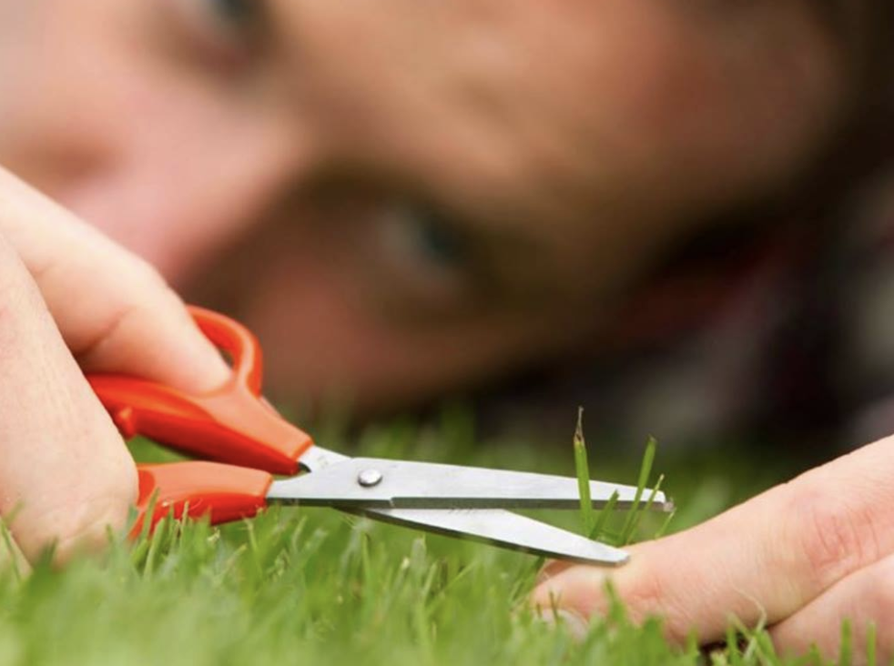 And finally, as for perfection it usually looks like this:Nothing to Something: Incredible distance between the two.Something to perfect: Barely noticeable.Get to something!Good luck and don't be this cat. 