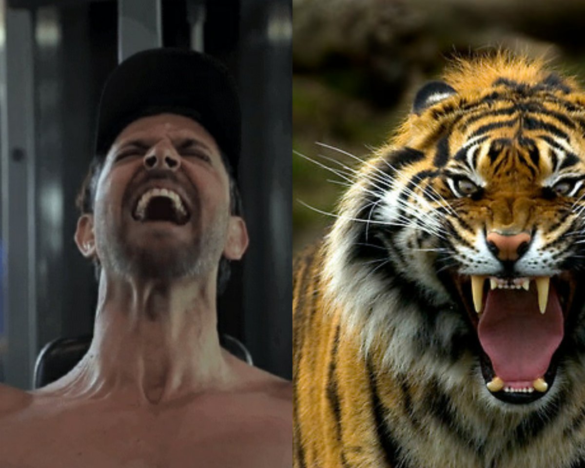 9. Roaring to defy all odds, to own their prey!! 