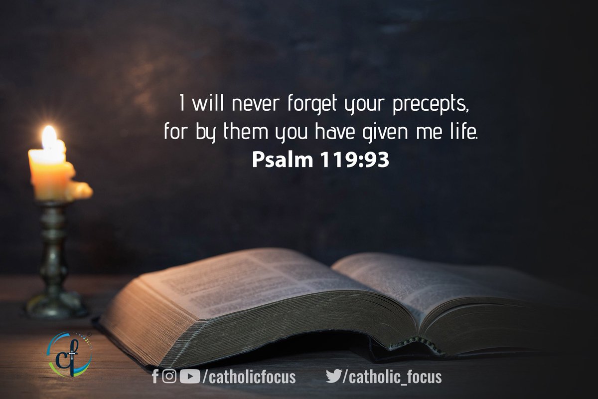 Catholic_Focus's tweet photo. Bible Verse || July 29, 2020
#WordsOfWisdom #Faith
#CatholicChurch #CatholicTwitter @KalyanDiocese #SyroMalabar
#DigitalKalyan https://t.co/DNdeBILjwd