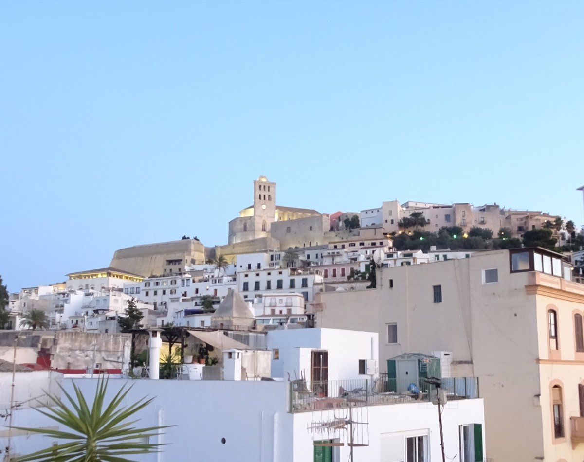 Paul Love tweet media