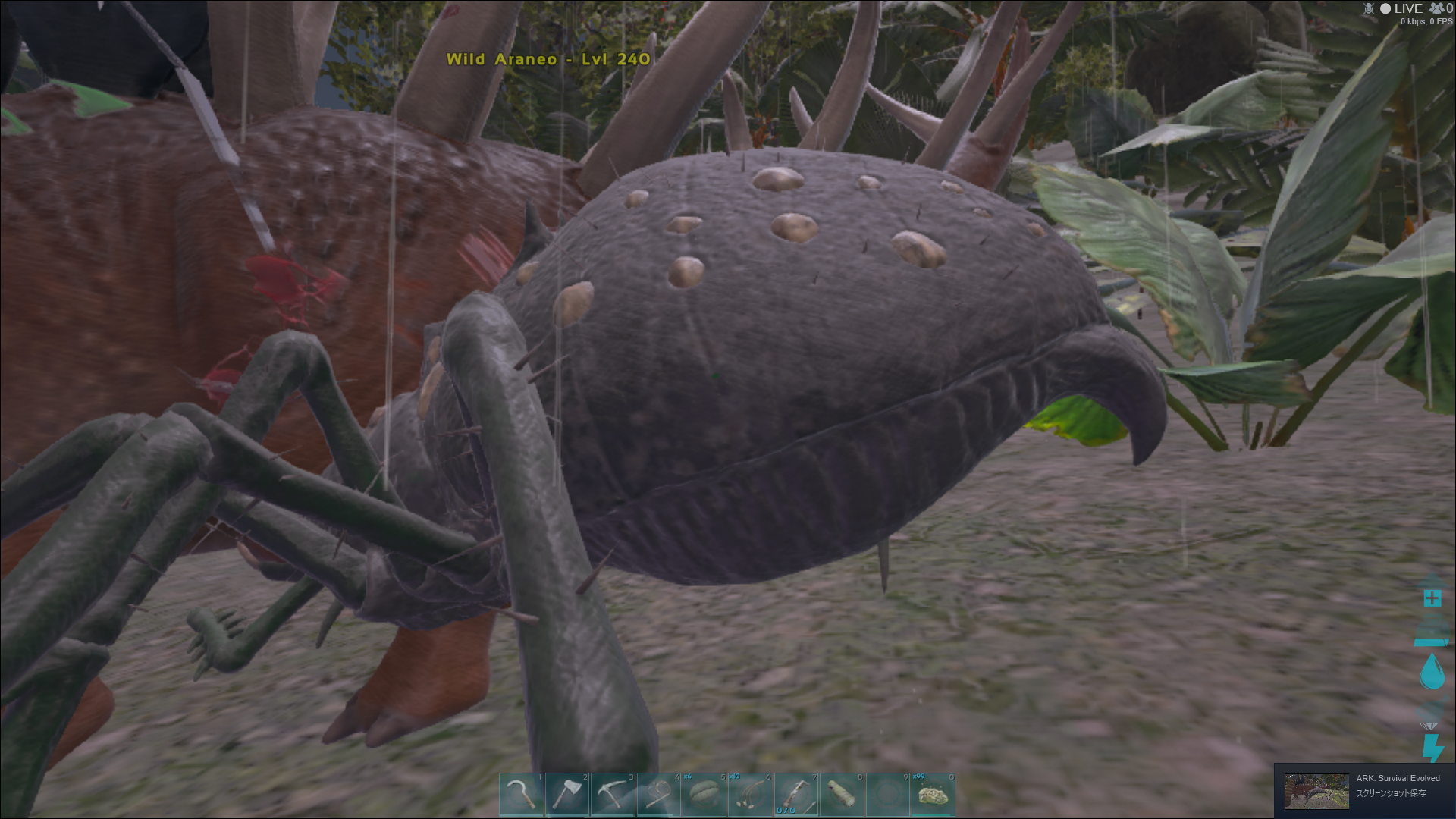 Japanese Allied Forces Ark Survival Evolved公式pvp クリスタルアイルズの限界突破アラネオ クモ レベル240 制限がかかっていてテイムできませんでした T Co Ggqoij3vac Twitter Japanese Allied Forces Ark Survival Evolved公式pvp クリスタルアイルズの限界突破アラネオ クモ レベル240 制限がかかっていてテイムできませんでした T Co Ggqoij3vac Twitter