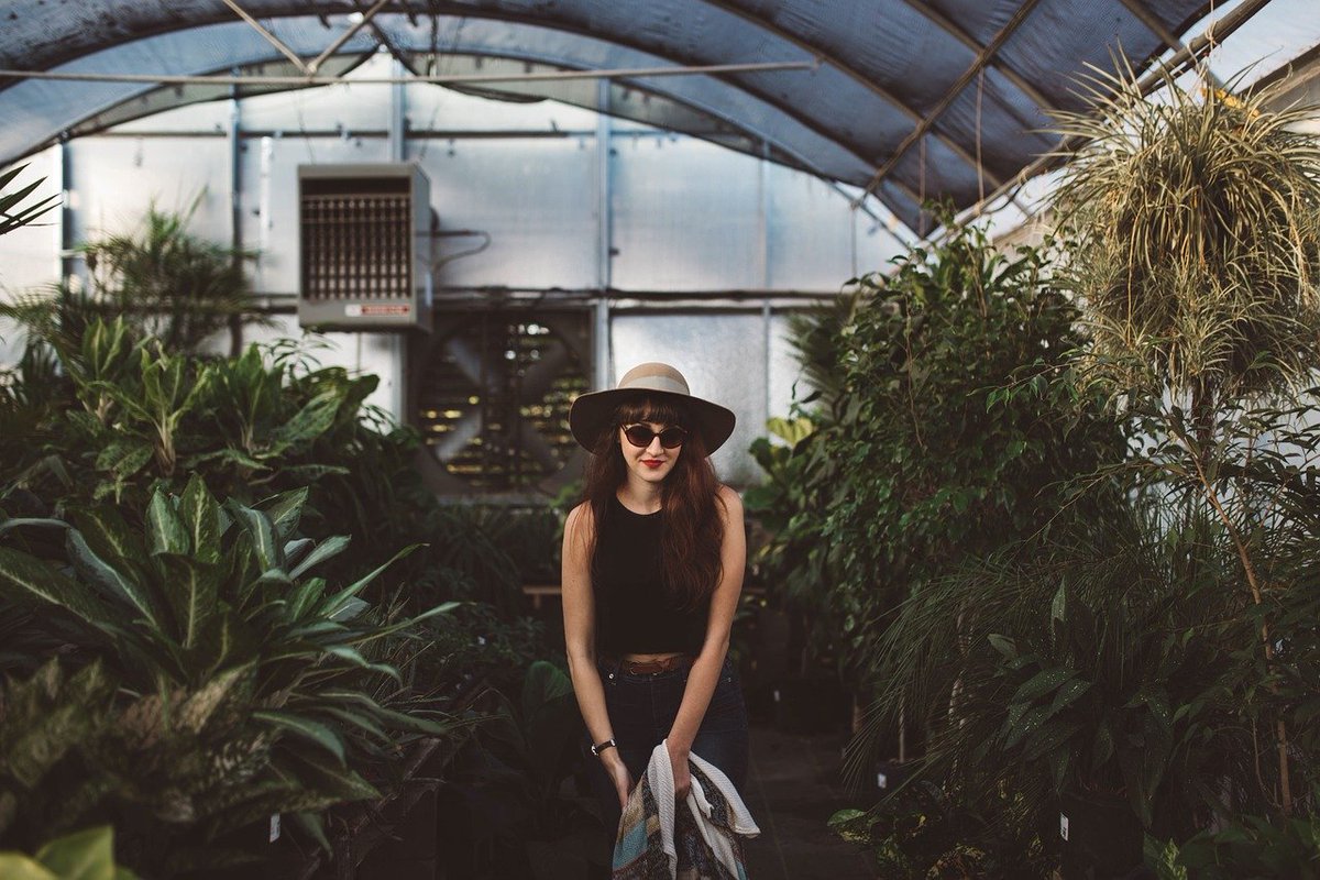 QuebecScience's tweet photo. En 2017, près du ¼ des plantes achetées aux USA l’ont été par des personnes âgées de 18-34 ans. D’où vient cette folie pour le jardinage? Pourquoi les millénariaux sont-ils prêts à payer si cher pour des végétaux? @f_chloe en parle dans sa chronique.

 https://t.co/lgPzha3bvS https://t.co/ROf93lBUD0