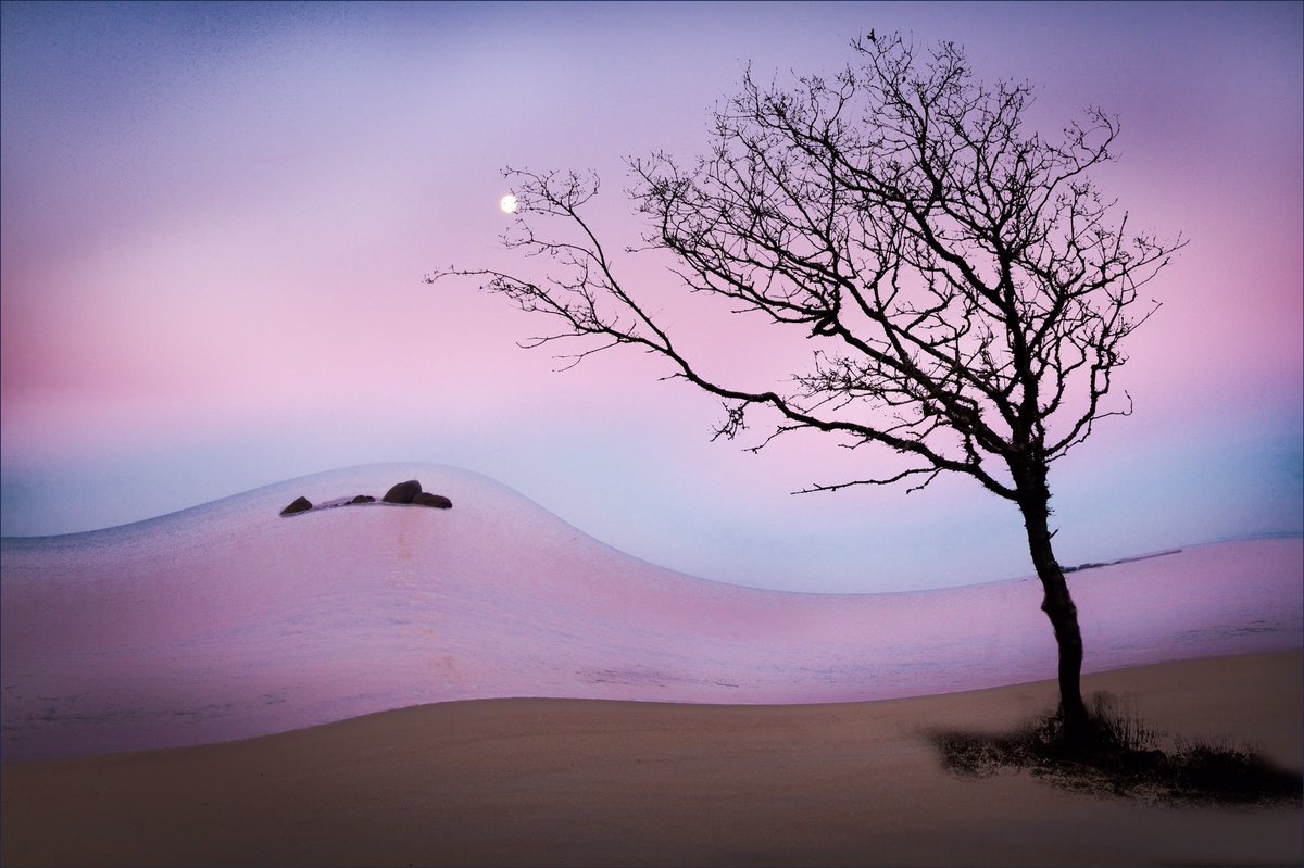 Her happiness floated like waves of ocean along the coast of her life.
She found lyrics of her life in his arms but she never sung her song.

Santosh Kalwar

____
© Christian Wilt