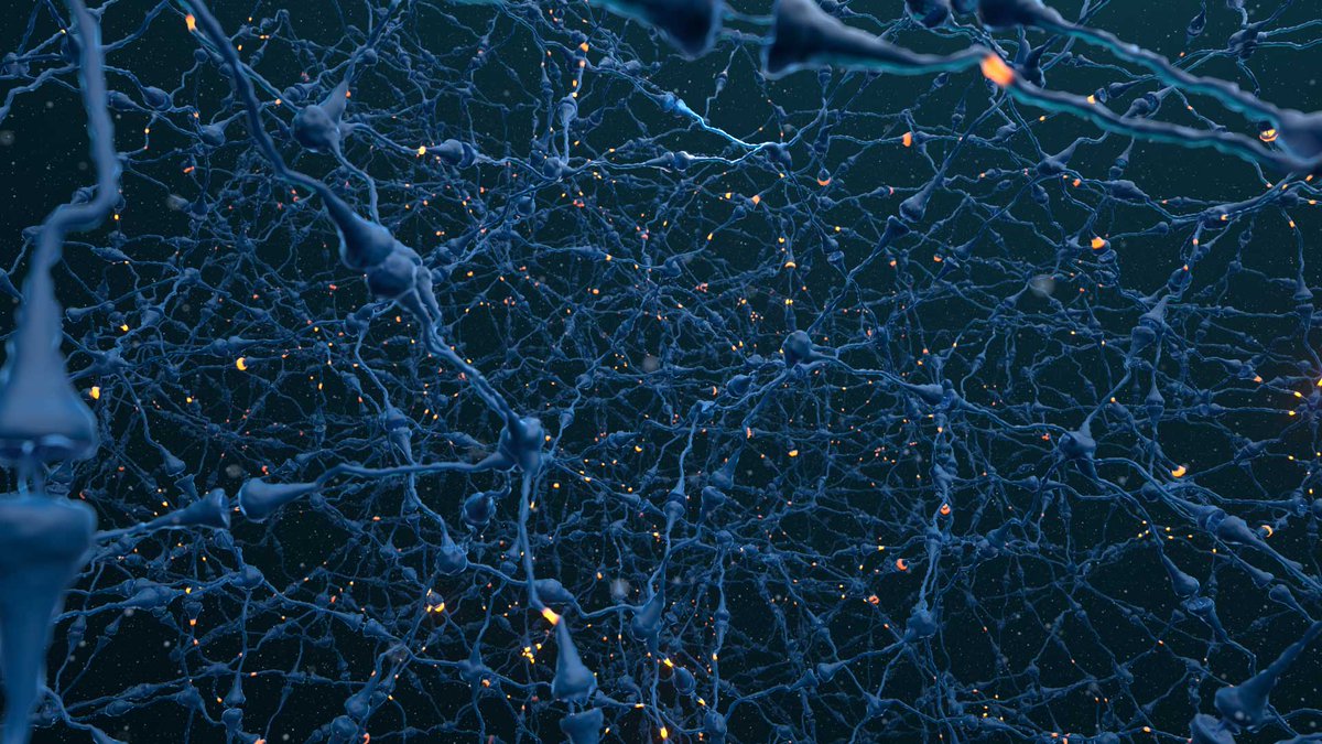 Bionic_Images's tweet photo. With the recent completion of a 3 minute 4K 360 VR 3d animation for a global medical client, Bionic Images is expanding our services to include scientific visualization.  #Bionic_Images #vfxstudio @redshift3d @sidefx #Houdini #Science #MedicalAnimation #VR https://t.co/RBZGxZhH6W https://t.co/gGml7lwcCg