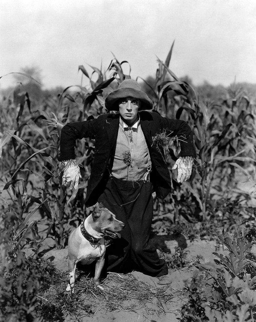 SlapstickFest's tweet photo. Our next #laughterinlockdown video goes live on Friday! This week we are featuring Buster Keaton's The Scarecrow which features piano accompaniment from Günter A. Buchwald! Subscribe to our @YouTube channel to be notified when it goes live: https://t.co/drS2dkYxyw #filmfeels https://t.co/YOEPJrzqeg