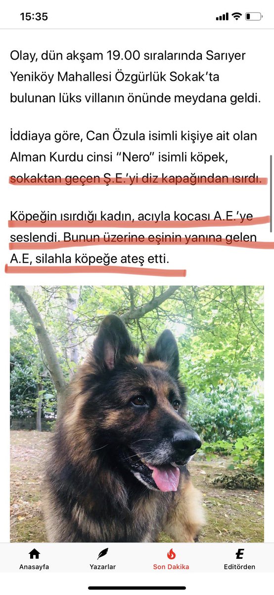 Bu haberi yanlıs servis ediyorsunuz! <a href="/gazetesozcu/">Sözcü</a> videolarda da görüldüğü gibi #alperkin ve #sadiyeerkin bahceye zorla girerek köpeğe saldirip silahla öldürüyorlar! Acil düzeltilmesini istiyoruz!?