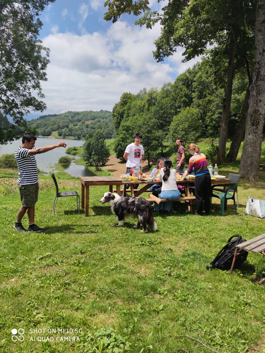 Cambioscop tweet media