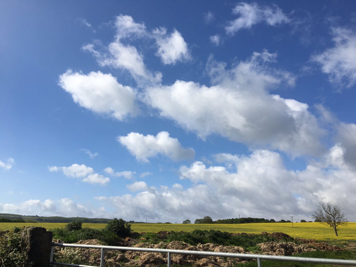 WYP_CNewsome's tweet image. 🚲👮‍♂️PCSO Smith (aka big lad), has now taken to a bike, to patrol the Kirkburton and Denby Dale areas..😊Give him a wave if you see him..🚲👮‍♂️👋🏼👋🏼#teamwork #npt #teamkirklees #staysafe