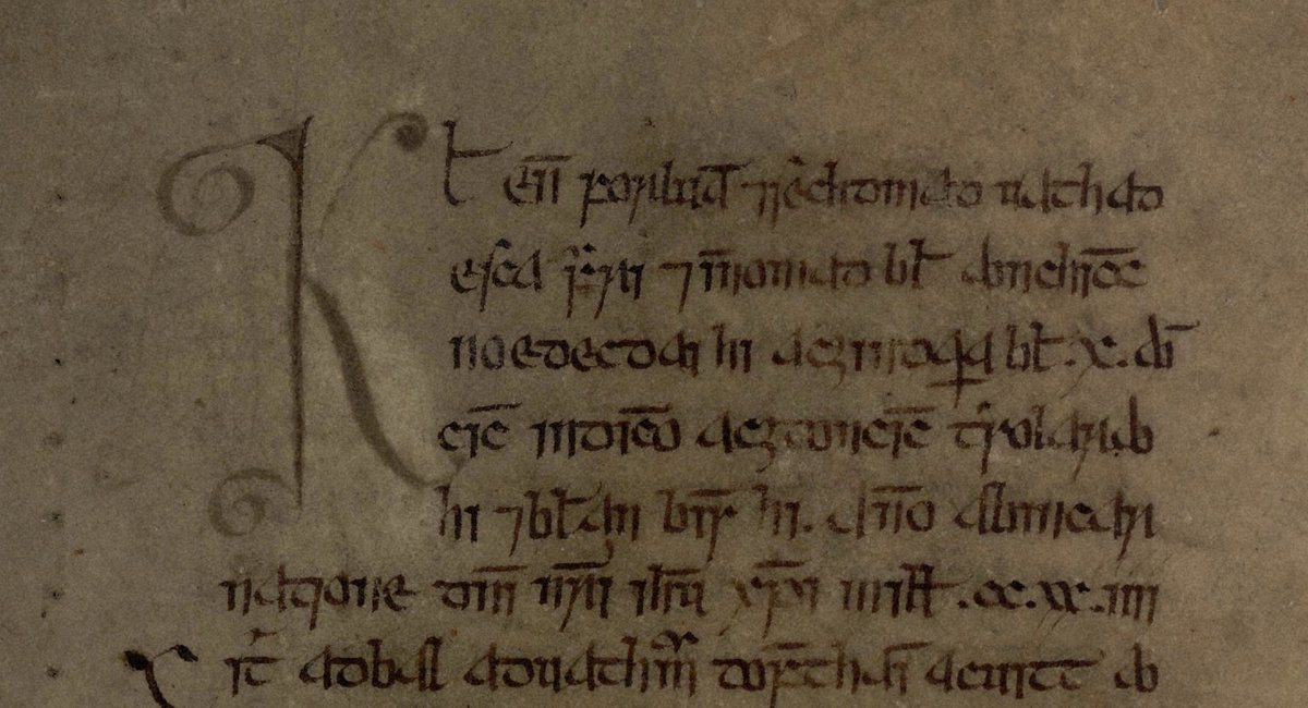 Each entry includes day of the 1st January, age of the moon on that date, year’s place in the Cycle of Nineteen (Lunar), year’s place in current Indiction (15 year cycle), year’s place in Solar Cycle, date, Leap year or common. 1224 begin ...