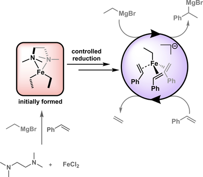angew_chem's tweet photo. TMEDA in Iron-Catalyzed Hydromagnesiation: Formation of Iron(II)-Alkyl Species for Controlled Reduction to Alkene-Stabilized Iron(0) (Neidig) https://t.co/k6x6c7ZRmM https://t.co/9hzXVNOfm1