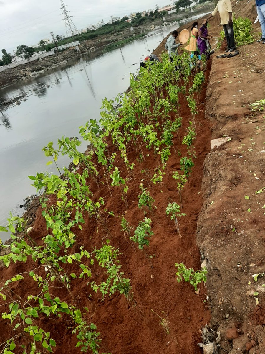 MD MRDCL tweet media