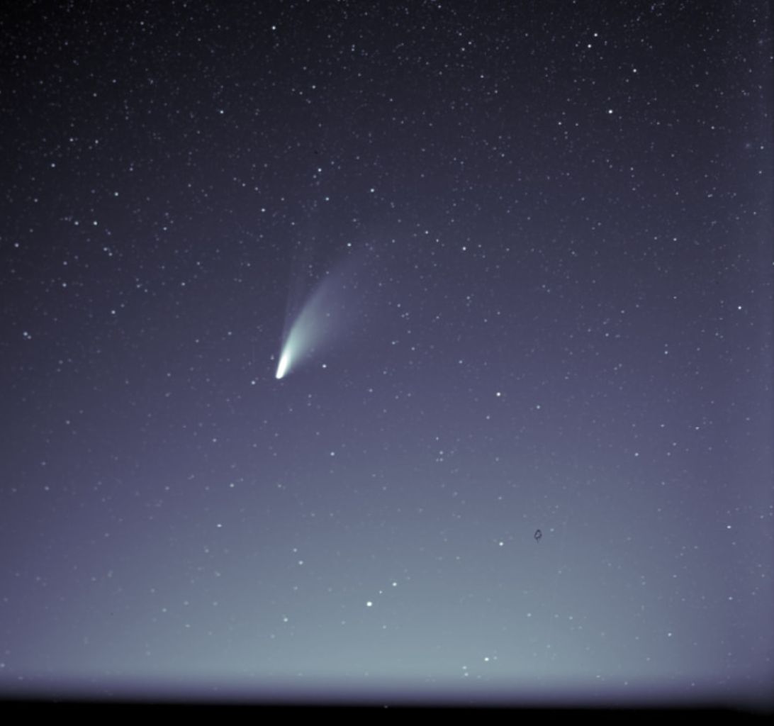 Local Spark Torbay tweet media