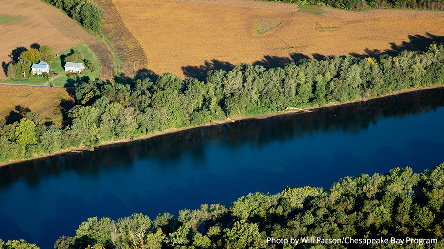DCNRnews's tweet photo. Want a streamside buffer on your property? Our #StreamBuffer experts can help you design & fund your buffer planting. Contact us at https://t.co/1cvIhSHMbr, ra-nrstreambuffers@pa.gov or 717-705-2820.
Learn more about streamside buffers ➡ https://t.co/7PFP2P1WkM #BufferMyStream https://t.co/J1sIxz7sSV