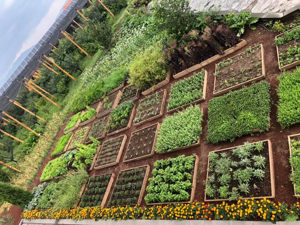 GreenLaneNGO's tweet photo. #OurCenter #GreenTrainingCenter #WeLoveOurCenter
So Beautiful 😍😍😍😍😍 https://t.co/a3aKIES4mn