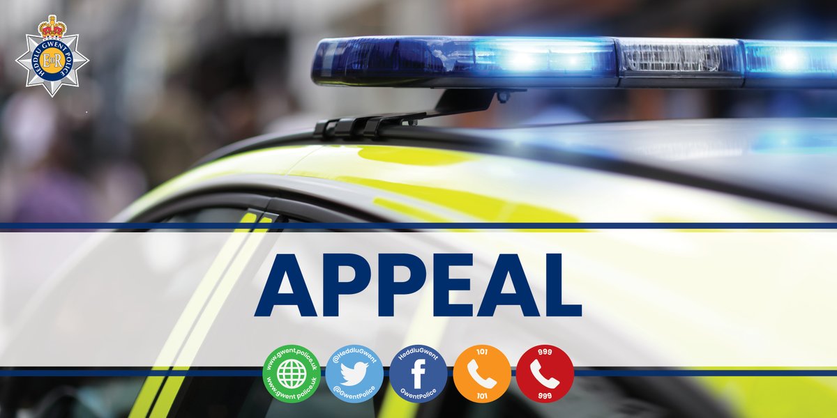 gwentpolice's tweet image. ⚠️🐶Twelve dogs have been stolen from three addresses in Gwent since Sunday - read more here: bit.ly/2X9aGRh