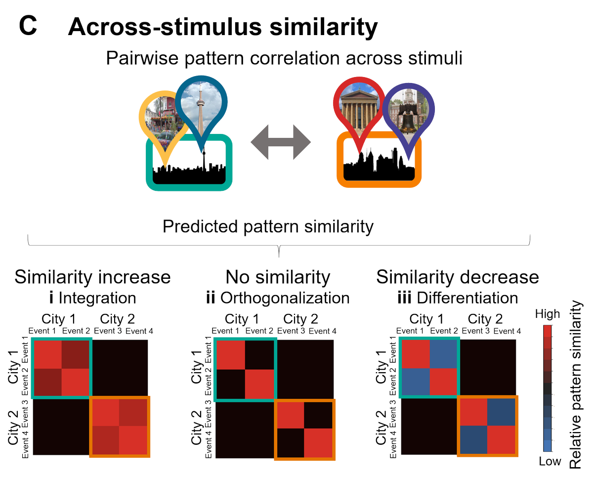 If related event representations are integrated, we should see increased similarity for those events relative to unrelated ones. Conversely, similarity should be lower if the representations are differentiated. Interestingly, both kinds of findings have been reported. 5/