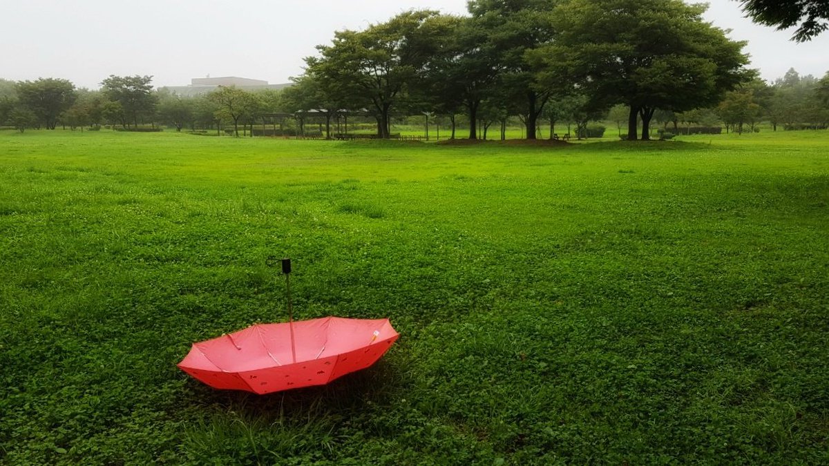 풀잎에도 상처가 있다는데,
하물며 사람이야 어떠할까.