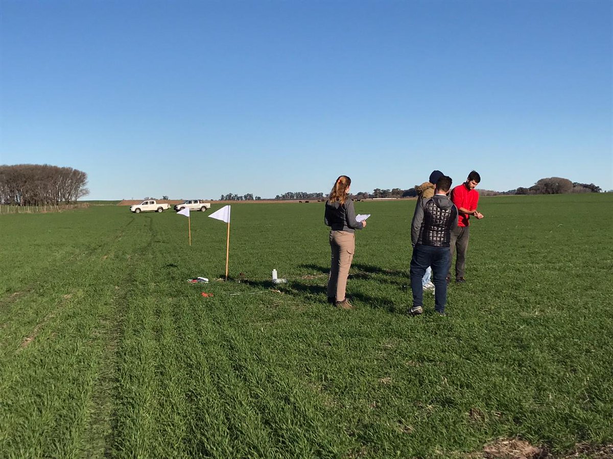 Junto al equipo de <a href="/NutrienFrenchAR/">Nutrien Ag Solutions - French-BA</a> recorrimos ensayos de #AccomplishLM