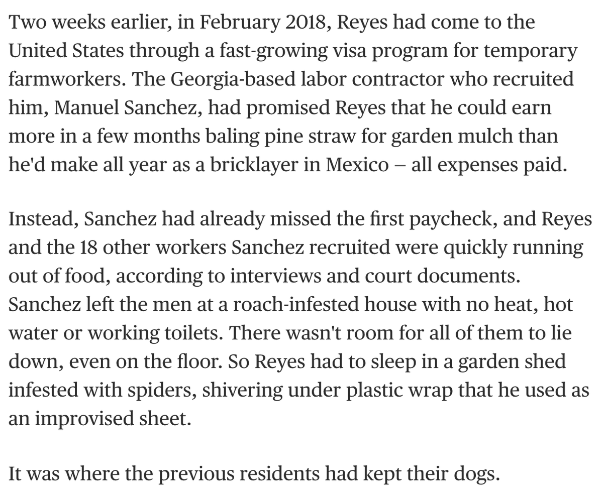 NEW: Trump has cracked down on nearly every immigration & visa program — except for temporary farmworkers.I spent 6 months investigating the shocking mistreatment of these guest workers on American farms, who wanted to come to the U.S. "the right way":  https://www.nbcnews.com/specials/h2a-visa-program-for-farmworkers-surging-under-trump-and-labor-violations/index.html