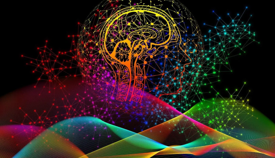 There is a second brain in our gut, says research:

neurosciencenews.com/second-brain-g…

<a href="/NeuroscienceNew/">Neuroscience News</a> 

#brain #neuroscience #wellbeing #mind #health #research