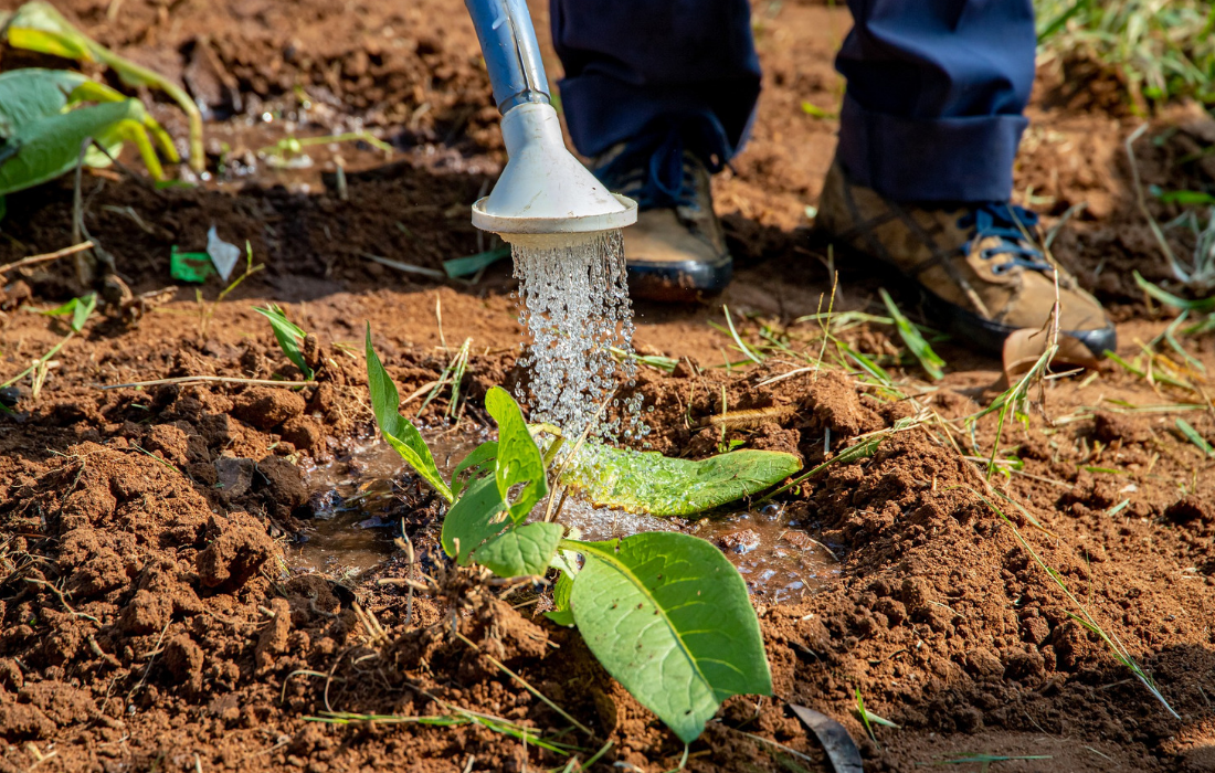 A big bet on irrigation for #Kenya’s #smallholder farmers? Learn how #solarwaterpumps could be a reliable #irrigation solution to help #farmers increase yields, resilience and income amid the dual challenges of #locust infestations &amp; #COVID19 here: bit.ly/3jDh25a #agtech