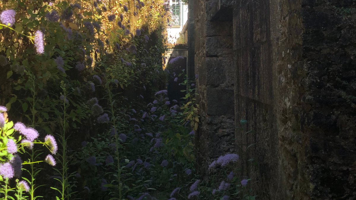 Meiga_Celta's tweet photo. ¿Ves la puerta al final del camino lleno de obstáculos? Siempre hay una salida para quien se atreve #coraje y #suerte https://t.co/RSuNIWxWVE
