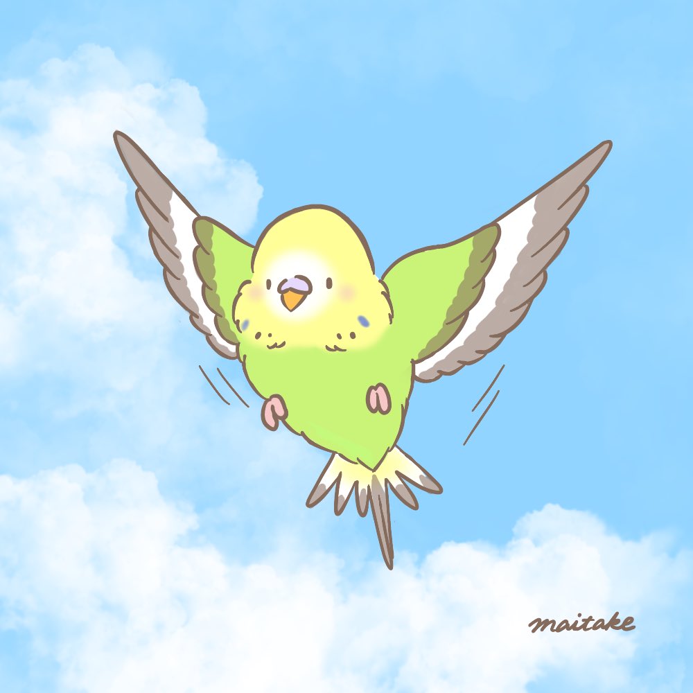 Twitter 上的 すこやかインコ 大空を舞う小さなインコ セキセイインコ イラスト T Co 3epxvlsrcl Twitter