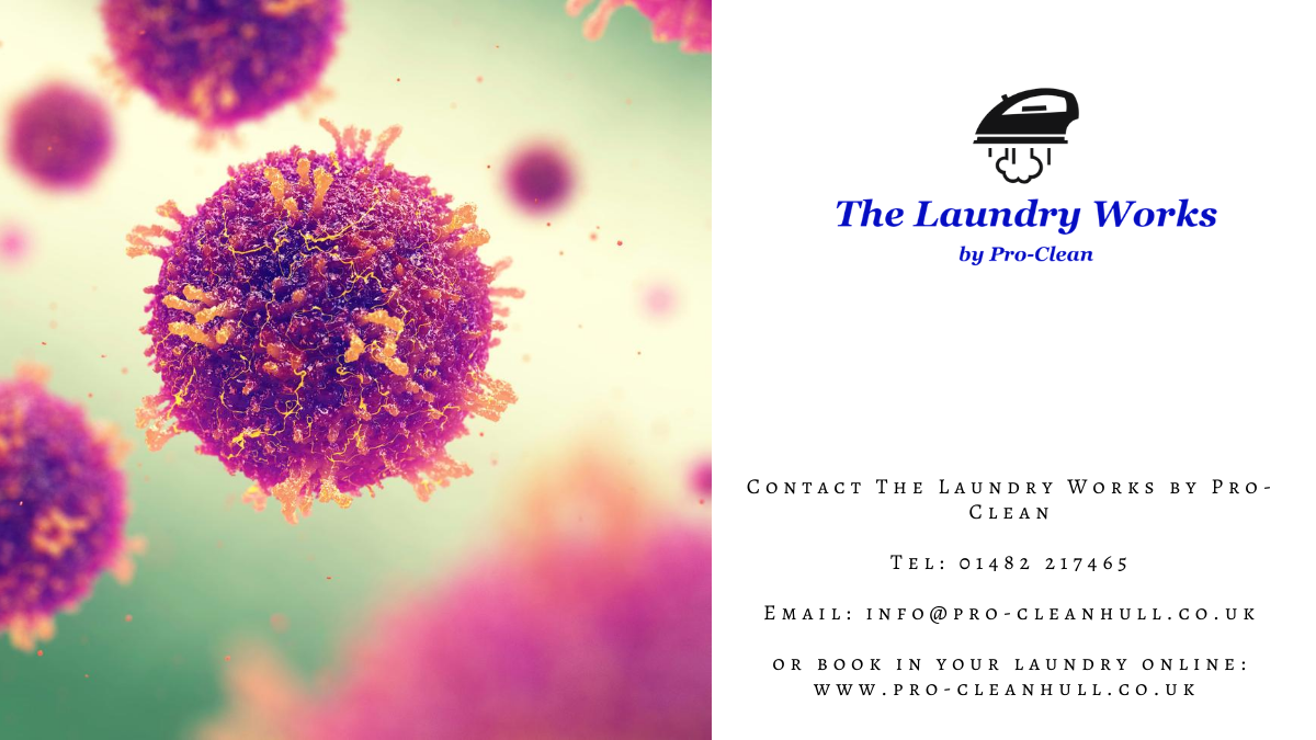 thelaundryworks's tweet photo. Our hot washes kill 99.9% of all bacteria. How's that for peace of mind! #safety #clean #laundrycompany https://t.co/7mVWcDVKXQ