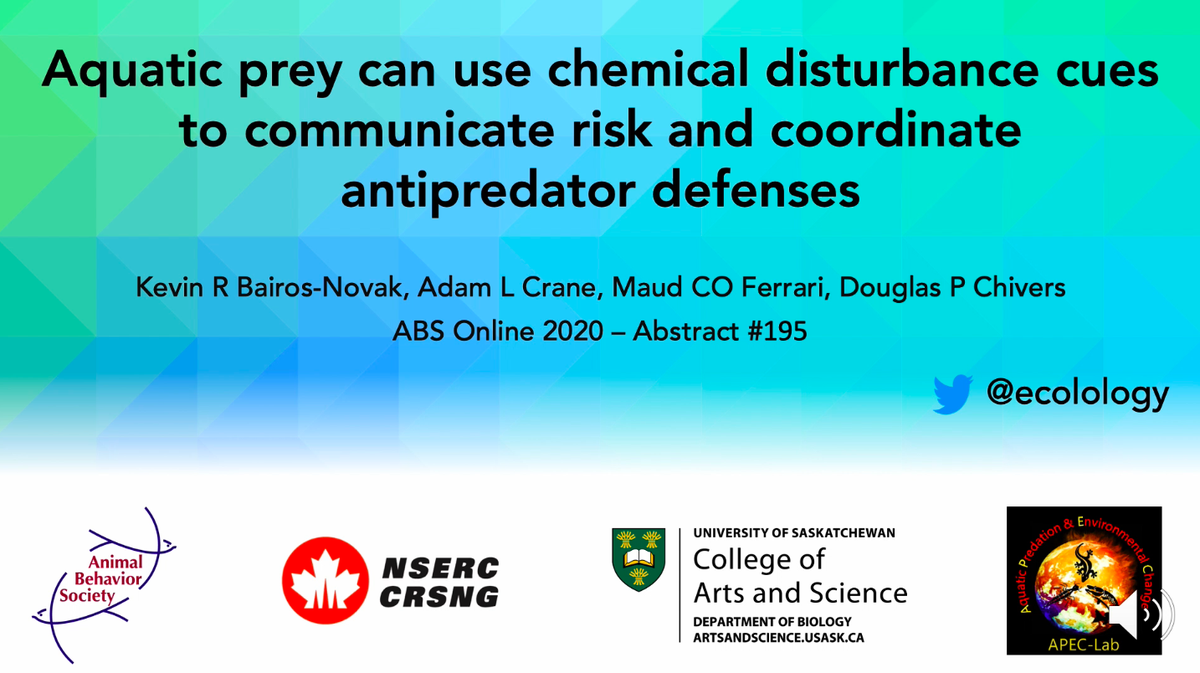 ecolology's tweet photo. Why are fish the ultimate detectives? Because they can *smell* other fish's screams!!
Come check out my talk on chemical disturbance cues as a novel antipredator signal in aquatic prey today at #ABS2020 in the Communication 3 section!! #SmellyScreams #PredPrey https://t.co/MR4MPyIEqA