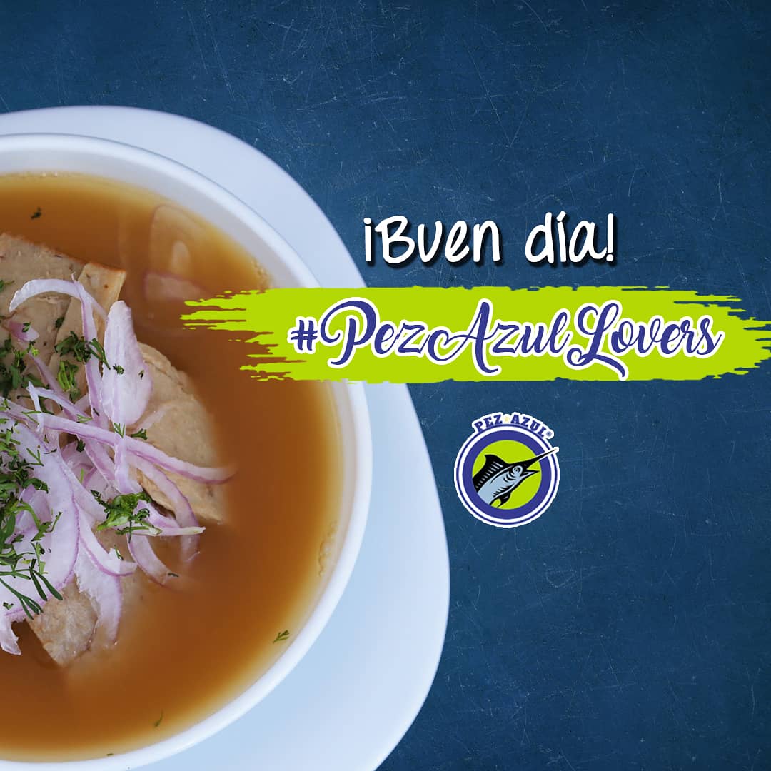 PezAzulEcuador's tweet photo. ¡Buen día amantes del buen encebollado! 😋

Los esperamos TODOS LOS DÍAS:
📍Alborada, Autopista Terminal Pascuales, Plaza Tía Central (vía a Salitre), Centro Sur y Quito: 08h00 a 15h00
📍Ciudad Celeste y Entre Ríos: 08h00 a 14h15
📍Vía a la costa y Kennedy: 08h00 a 14h30 https://t.co/POr37JeVvw
