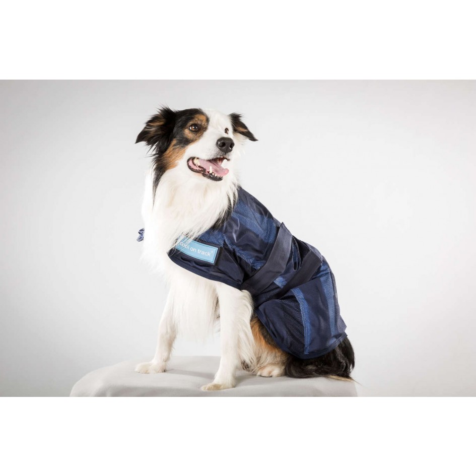 MIKANVET's tweet photo. Comment réguler la température de son animal en cas de coups de chaleur? Découvrez les nouvelles solutions innovantes qui vont protéger votre animal et vous simplifier la vie. https://t.co/ldbD41x3ux https://t.co/dvWqh5b2tG