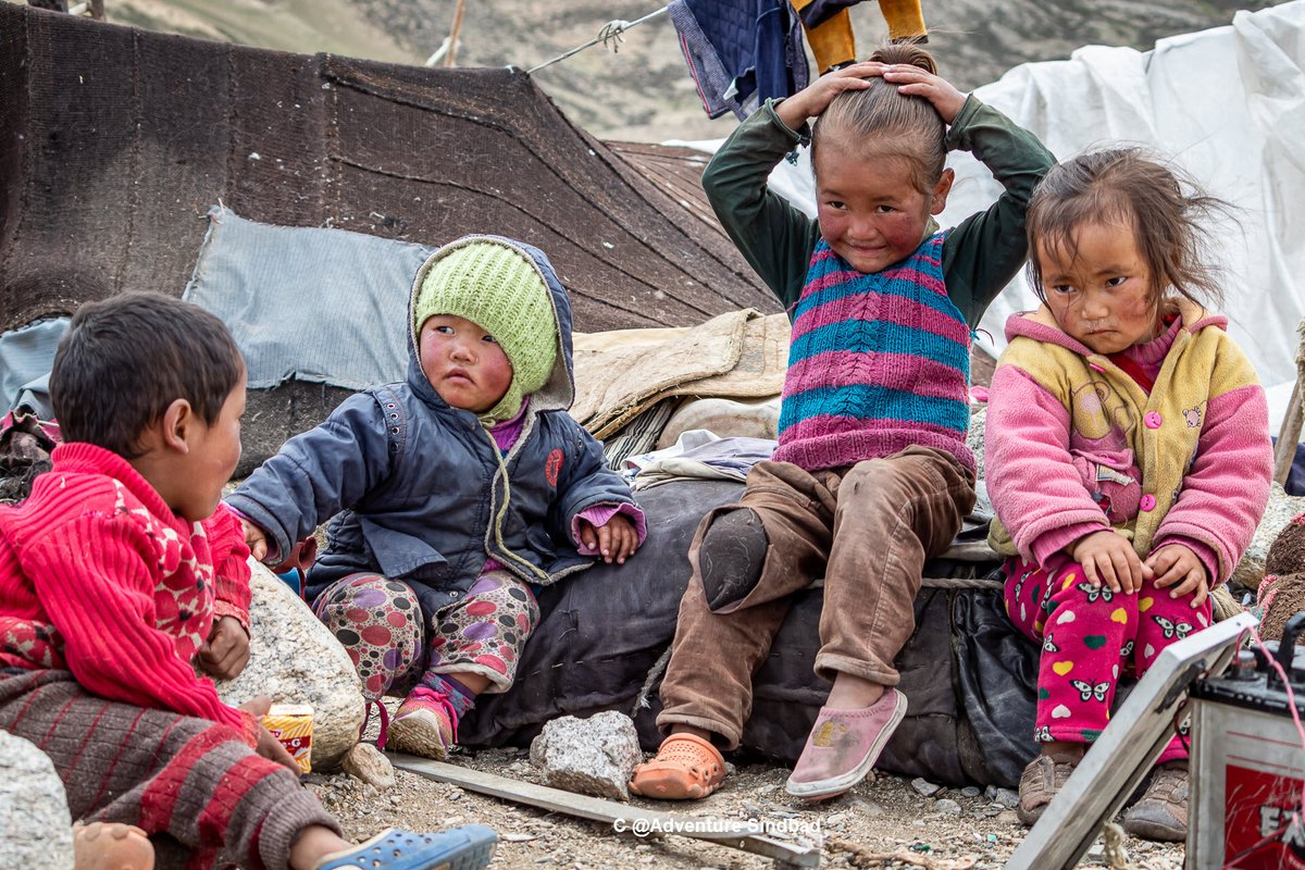 shepherdsofhim's tweet photo. #Himalaya can be mesmerizing but it can be equally brutal.  For the Changpa’s children, it’s their older siblings who they observe and learn to thrive in #Changthang. For them “Their lives are their #Schools and the syllabus there is #Survival”

More at : https://t.co/kUggxMIO6P https://t.co/tHDp6Iyvwc