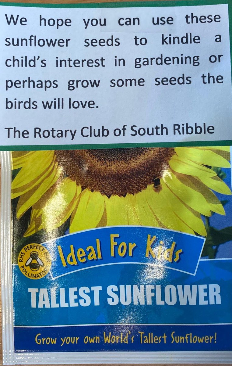 Bay6Project's tweet image. Day 128 in #lockdown and we entered the @SRRotary garden competition this month and we received our certificate this morning! Very proud of our amazing beautiful space, we are so lucky! #lovewhereyoulive #gardengoals @barnardos