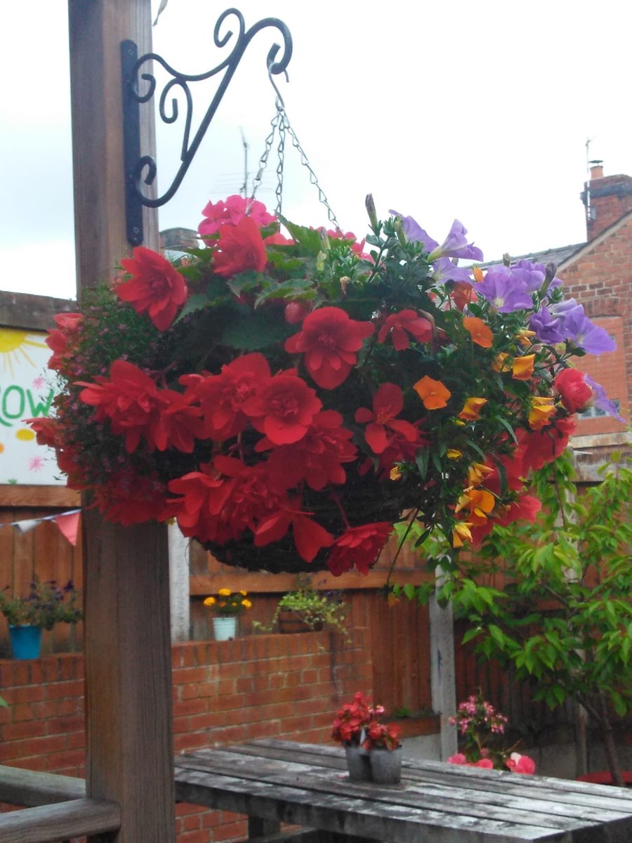 Bay6Project's tweet image. Day 128 in #lockdown and we entered the @SRRotary garden competition this month and we received our certificate this morning! Very proud of our amazing beautiful space, we are so lucky! #lovewhereyoulive #gardengoals @barnardos