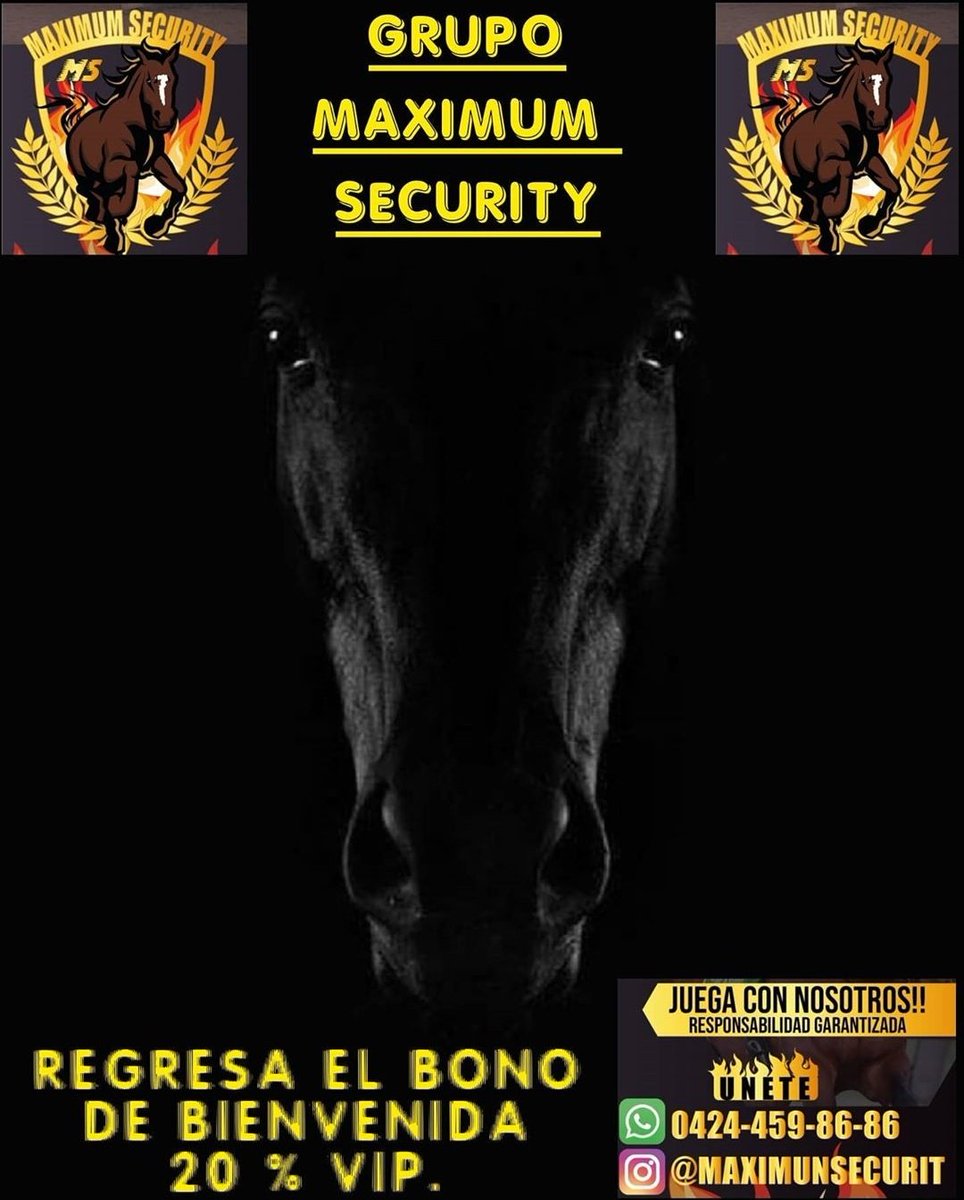 MAXIMUM SECURITY (@GrupoMaximum) / Posts / X