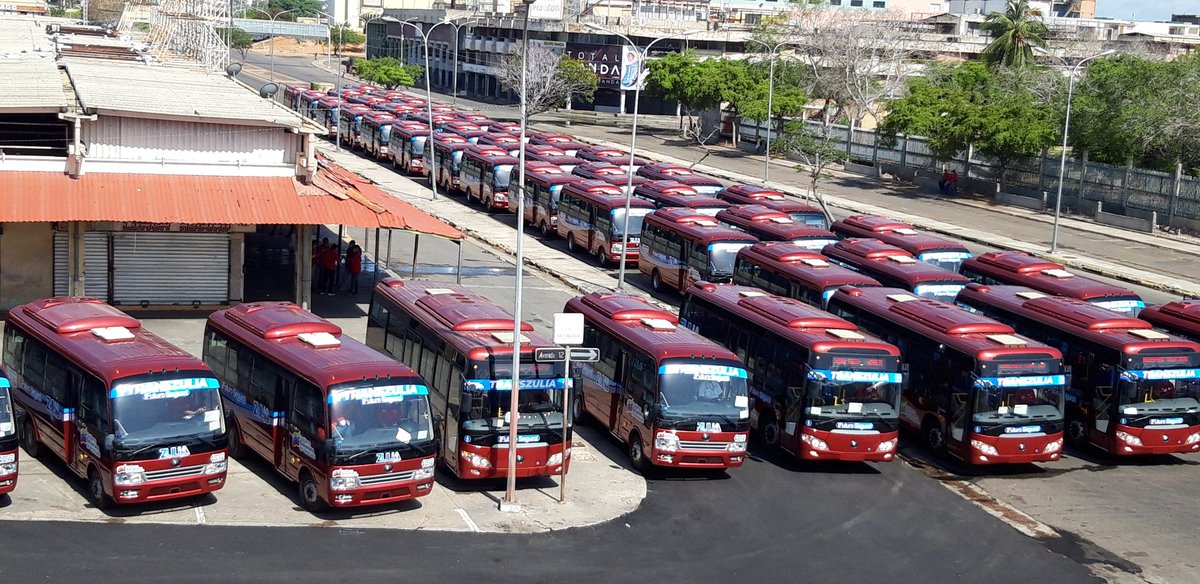 Omar_PrietoPSUV's tweet photo. De regreso al trabajo de calle para seguir llevando bienestar a las zulianas y zulianos. En breve, entregaremos 60 modernos autobuses para mejorar el transporte público con @MetroMaracaibo_ y Transzulia. 

Desde el mercado La Pulgas. Nada nos detiene!

#ParticipaYElige https://t.co/FGnCkSoPJF