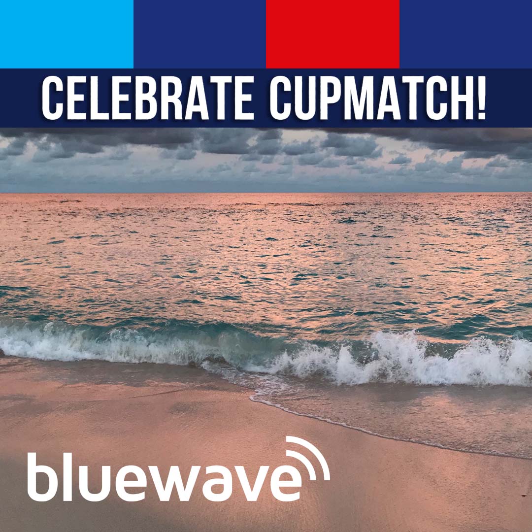 Bluewave tweet media