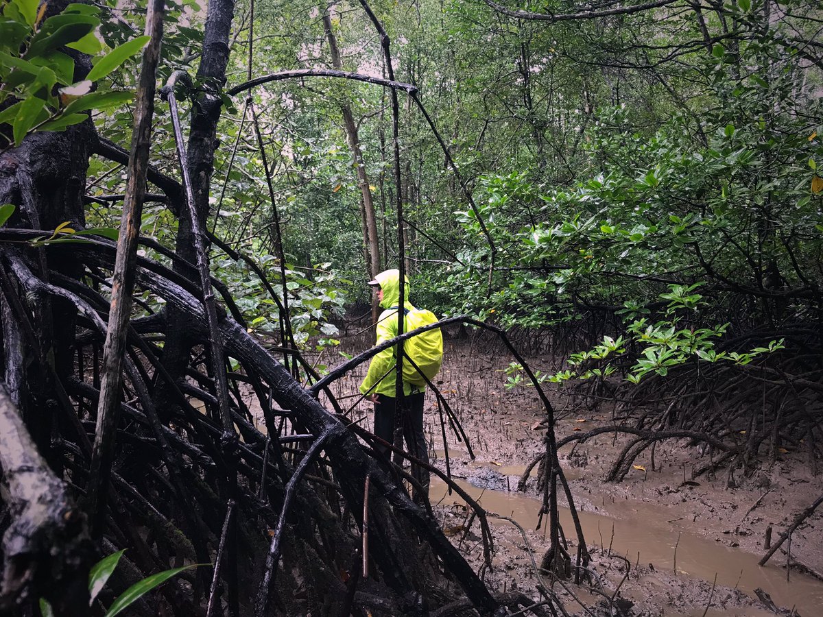 Sea Level Research tweet media